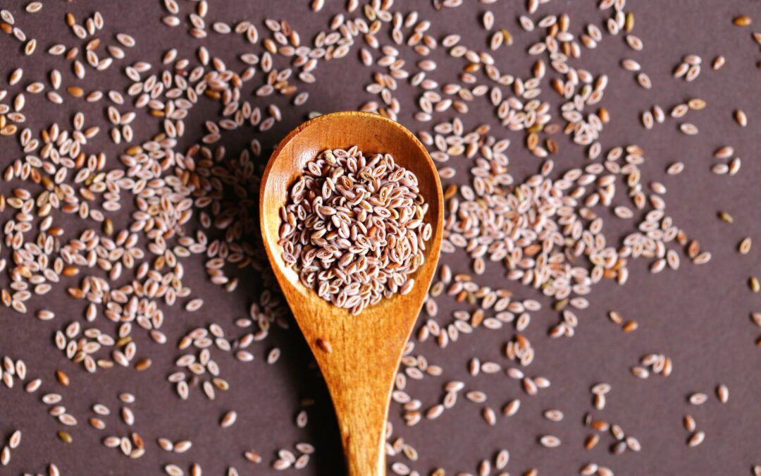 ¿Aún no conoces el Psyllium? ¡Te lo contamos todo!