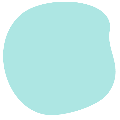 burbuja-tortuga-mora