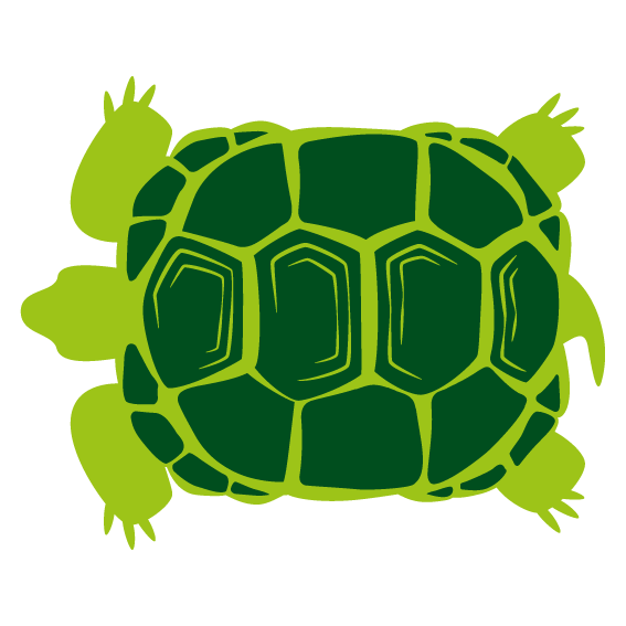 tortuga-mora naturgreen